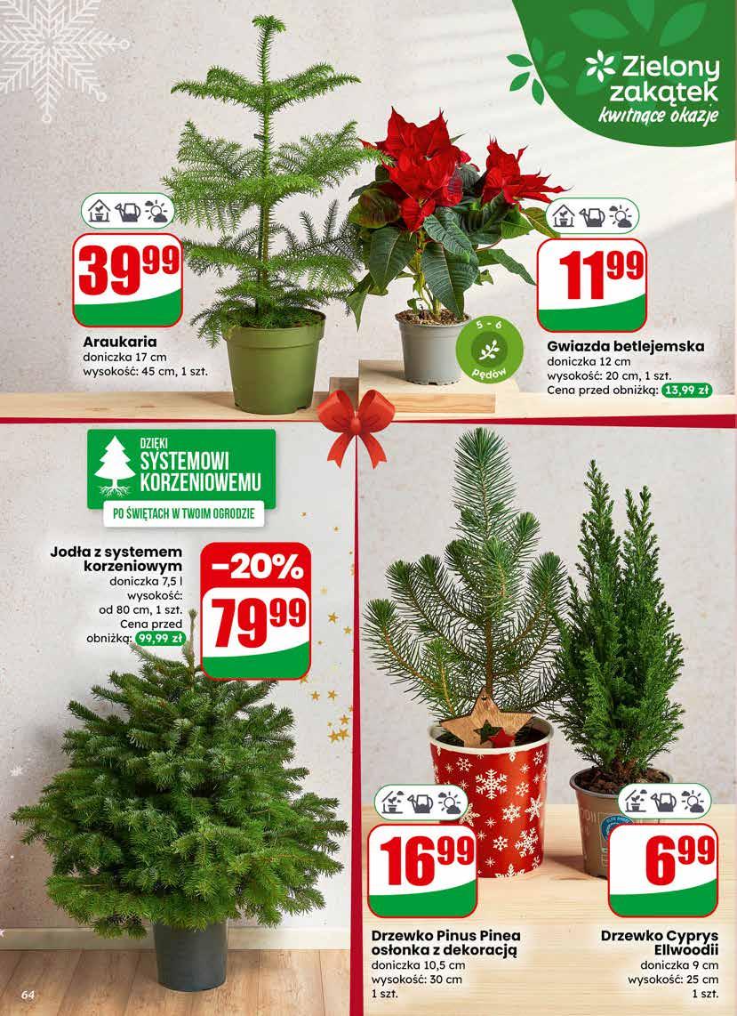 Gazetka promocyjna DINO do 23/12/2025 str.64