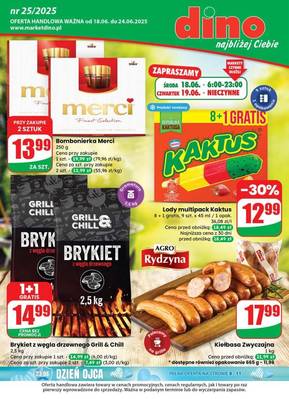 Gazetka Dino