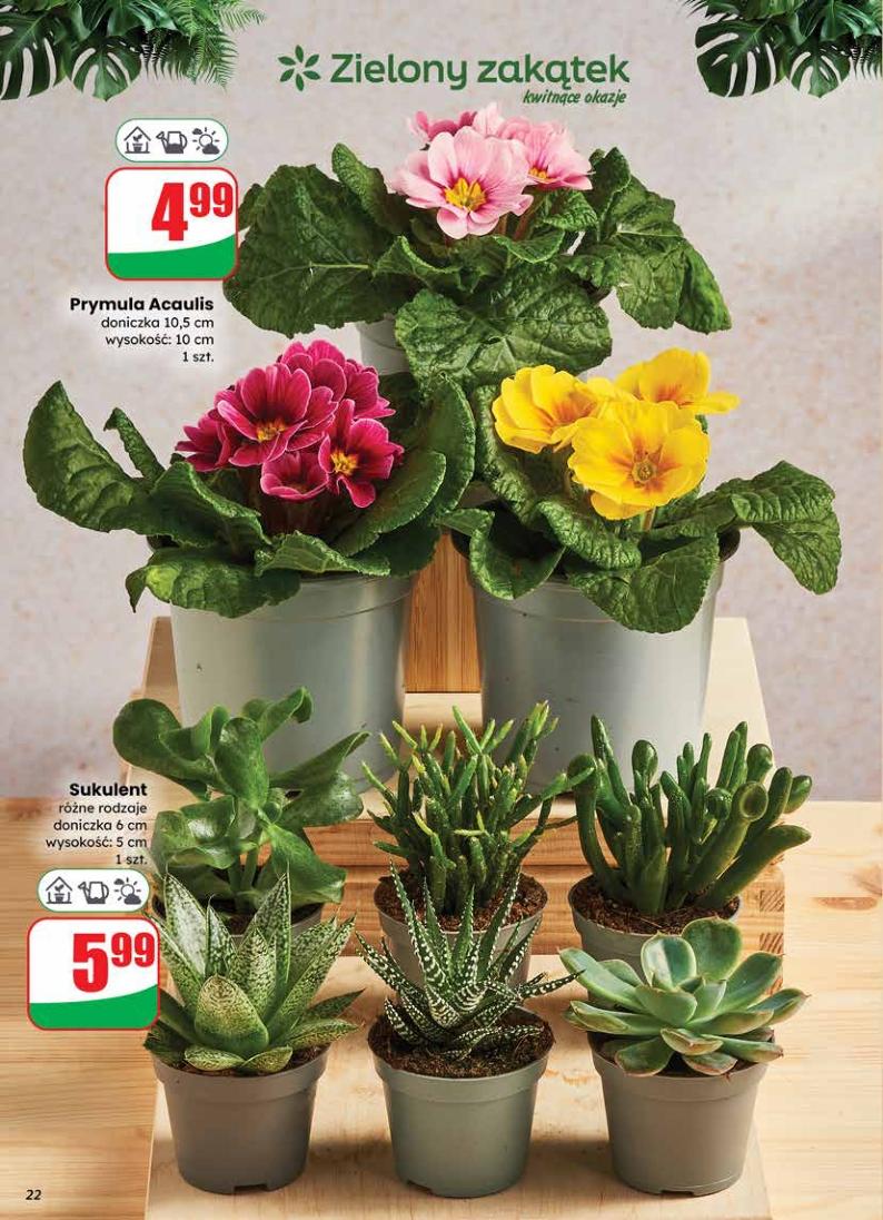 Gazetka promocyjna DINO do 28/01/2026 str.22