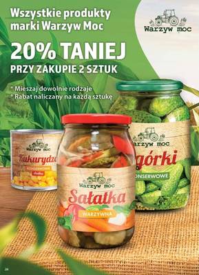 Gazetka Dino