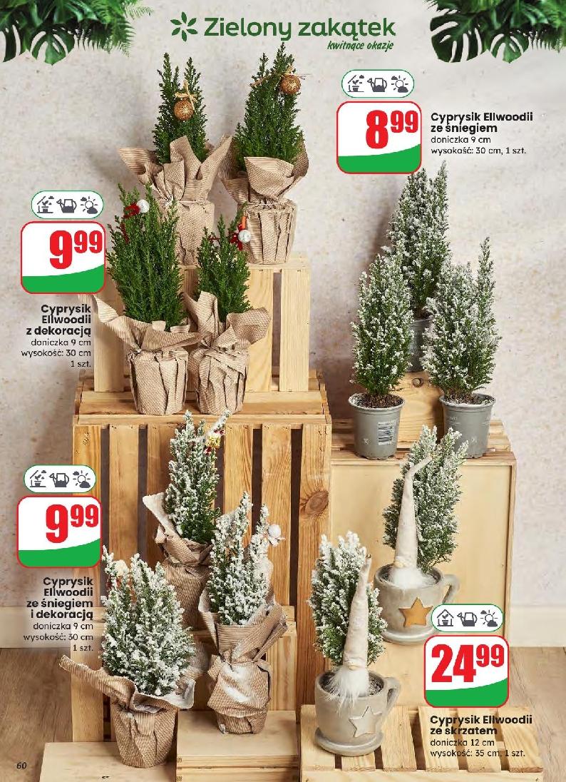 Gazetka promocyjna DINO do 09/12/2025 str.60