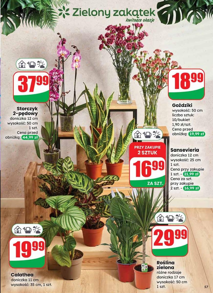 Gazetka promocyjna DINO do 31/12/2025 str.57