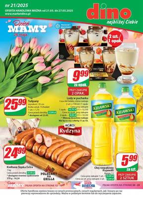 Gazetka Dino