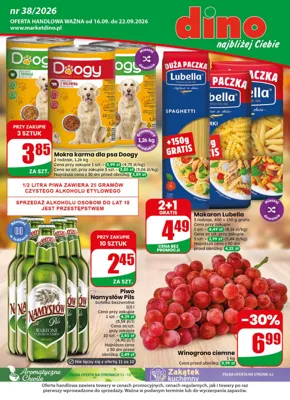 Gazetka Dino