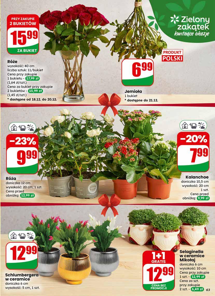 Gazetka promocyjna DINO do 23/12/2025 str.63