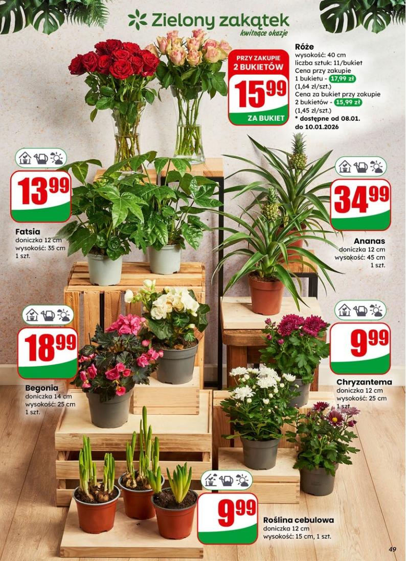 Gazetka promocyjna DINO do 13/01/2026 str.49