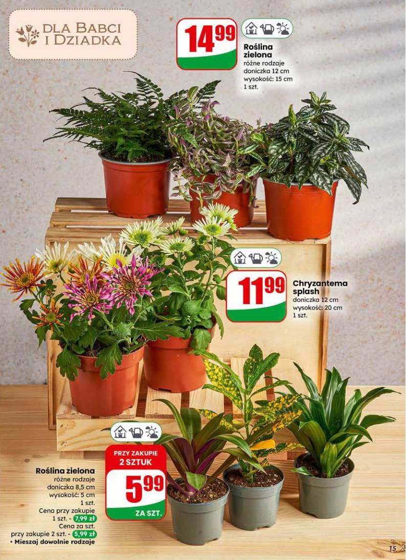 Gazetka promocyjna DINO do 27/01/2026 str.15