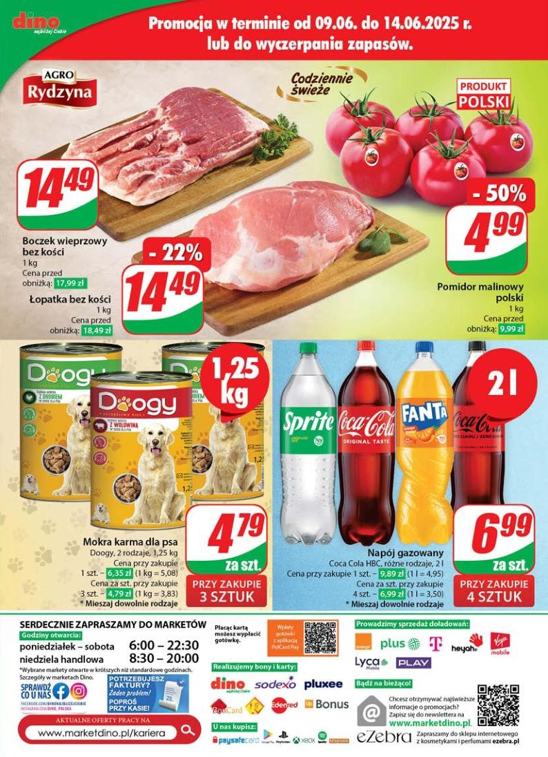 Gazetka promocyjna DINO do 17/06/2025 str.73
