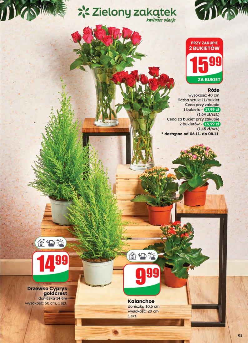 Gazetka promocyjna DINO do 10/11/2025 str.53