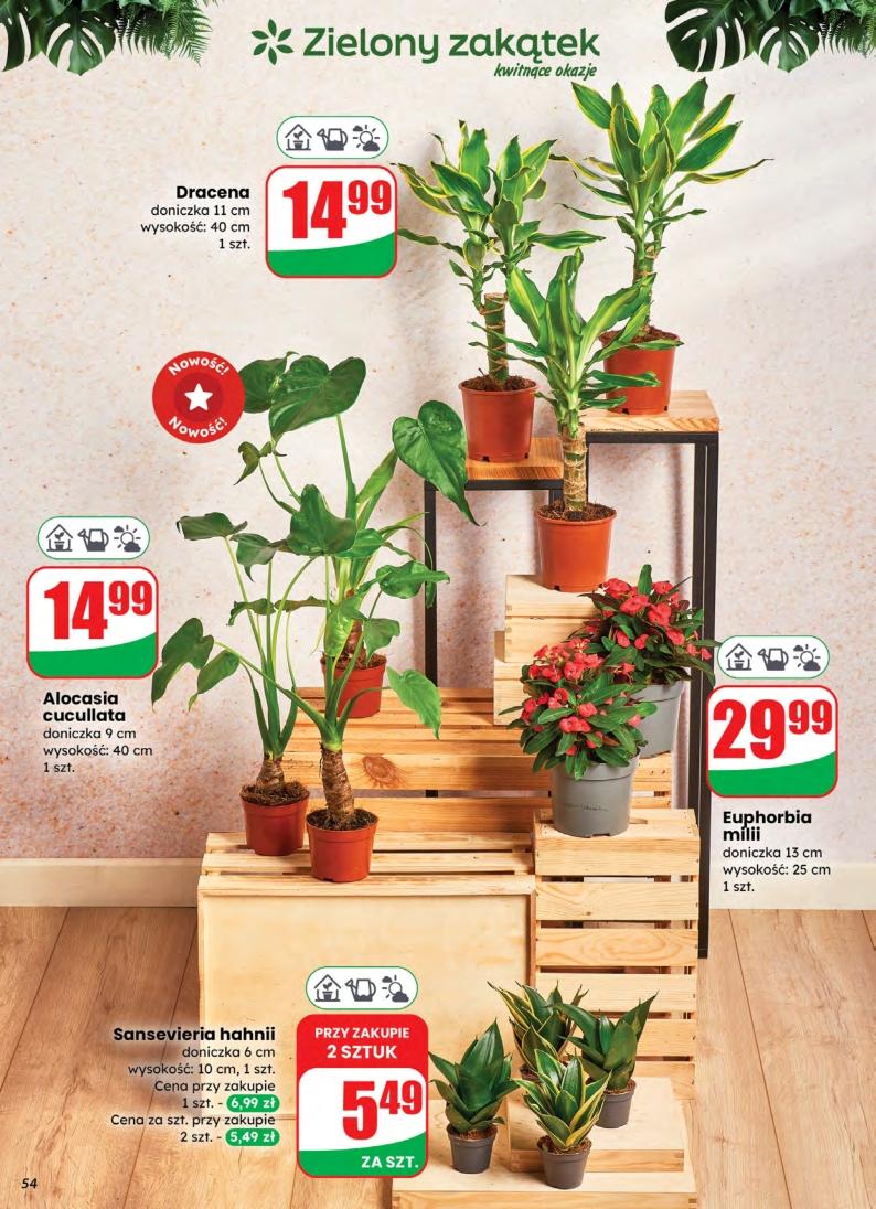 Gazetka promocyjna DINO do 10/11/2025 str.54