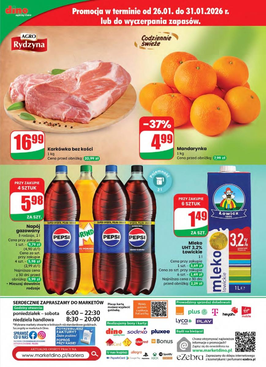 Gazetka promocyjna DINO do 03/02/2026 str.61