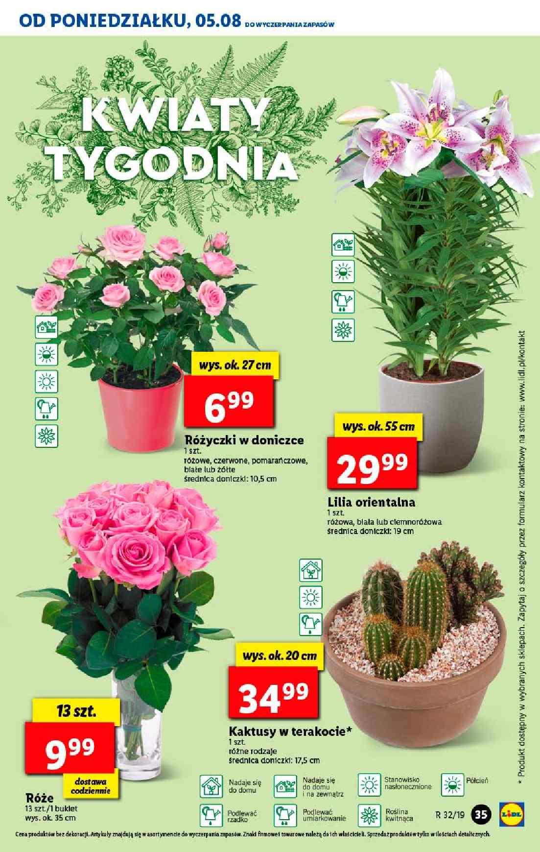 Gazetka promocyjna Lidl do 07/08/2019 str.35