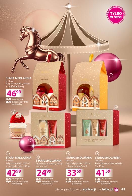 Gazetka promocyjna Hebe do 24/12/2025 str.43