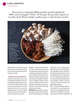 Magazyn Hebe