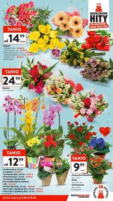Gazetka Intermarche