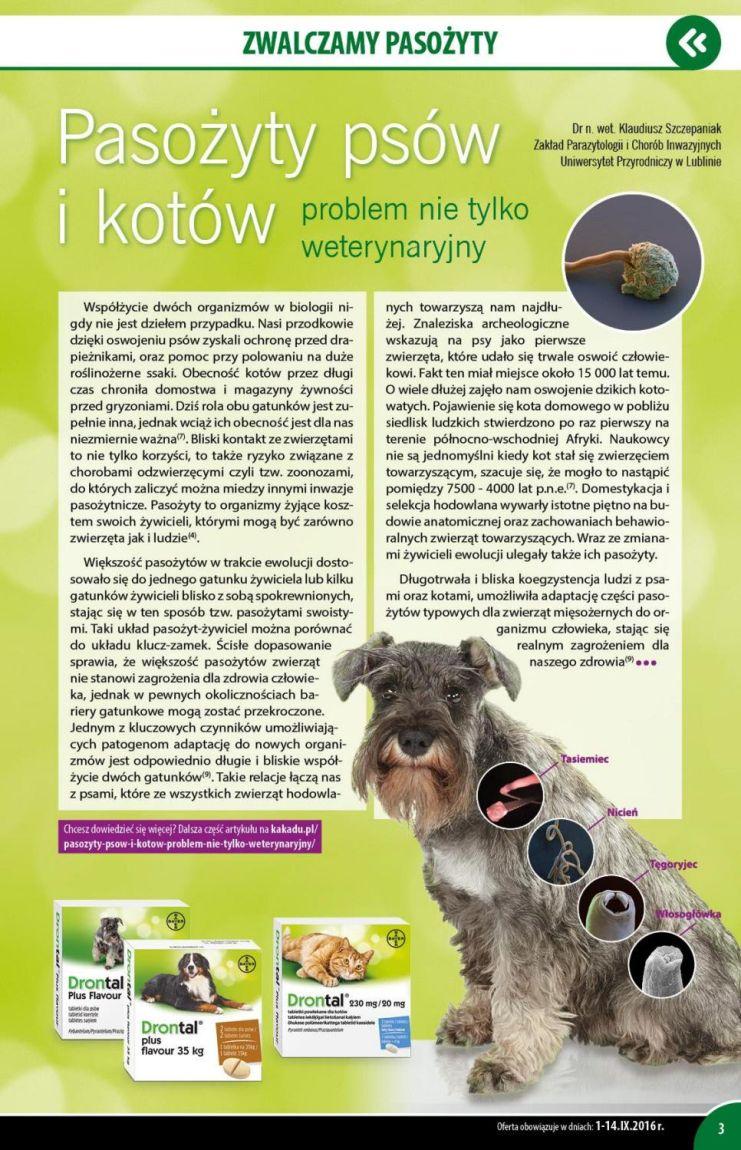 Gazetka promocyjna KAKADU do 14/09/2016 str.2