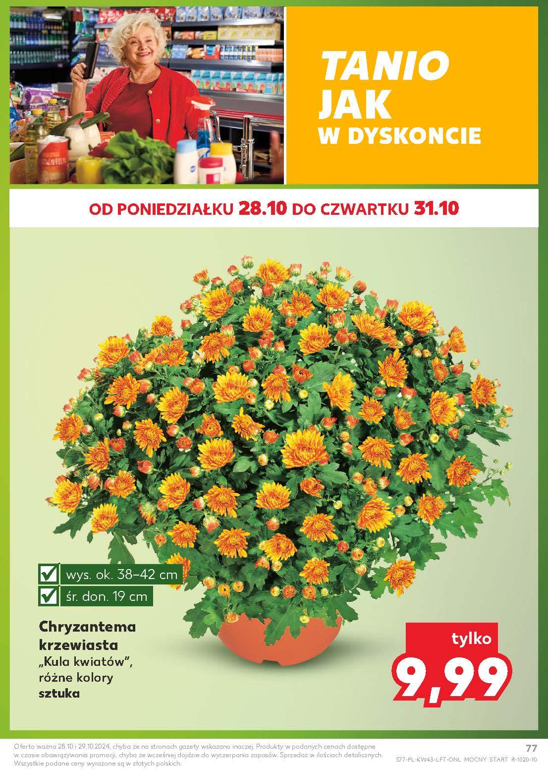 Gazetka promocyjna Kaufland do 29/10/2024 str.77