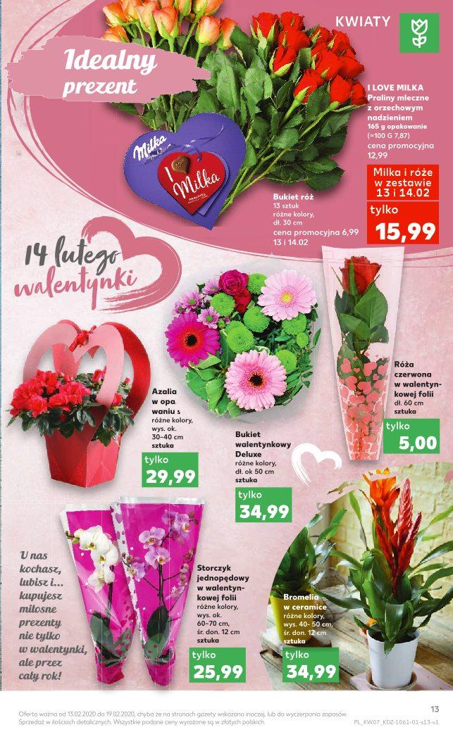 Gazetka promocyjna Kaufland do 19/02/2020 str.13