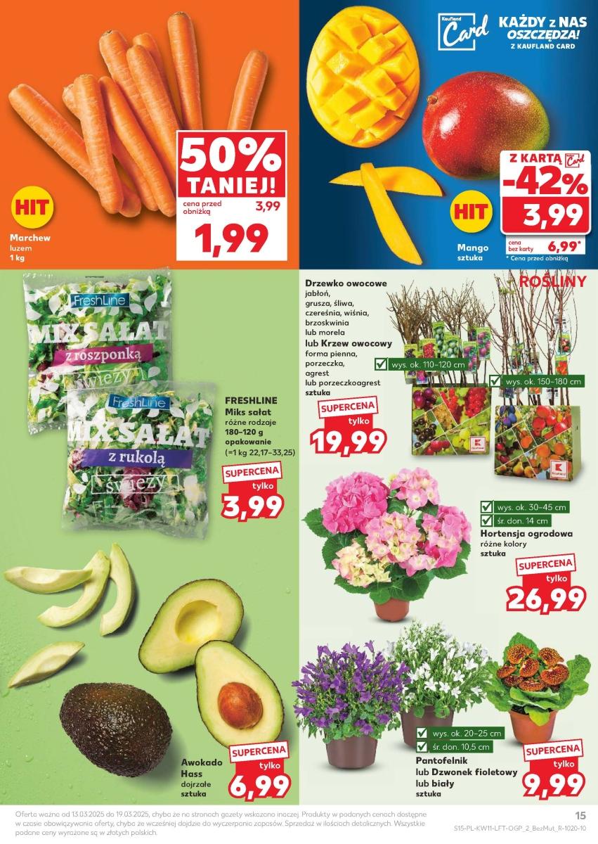 Gazetka promocyjna Kaufland do 19/03/2025 str.15