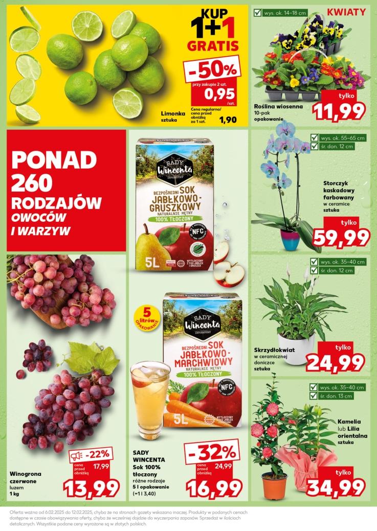 Gazetka promocyjna Kaufland do 12/02/2025 str.19