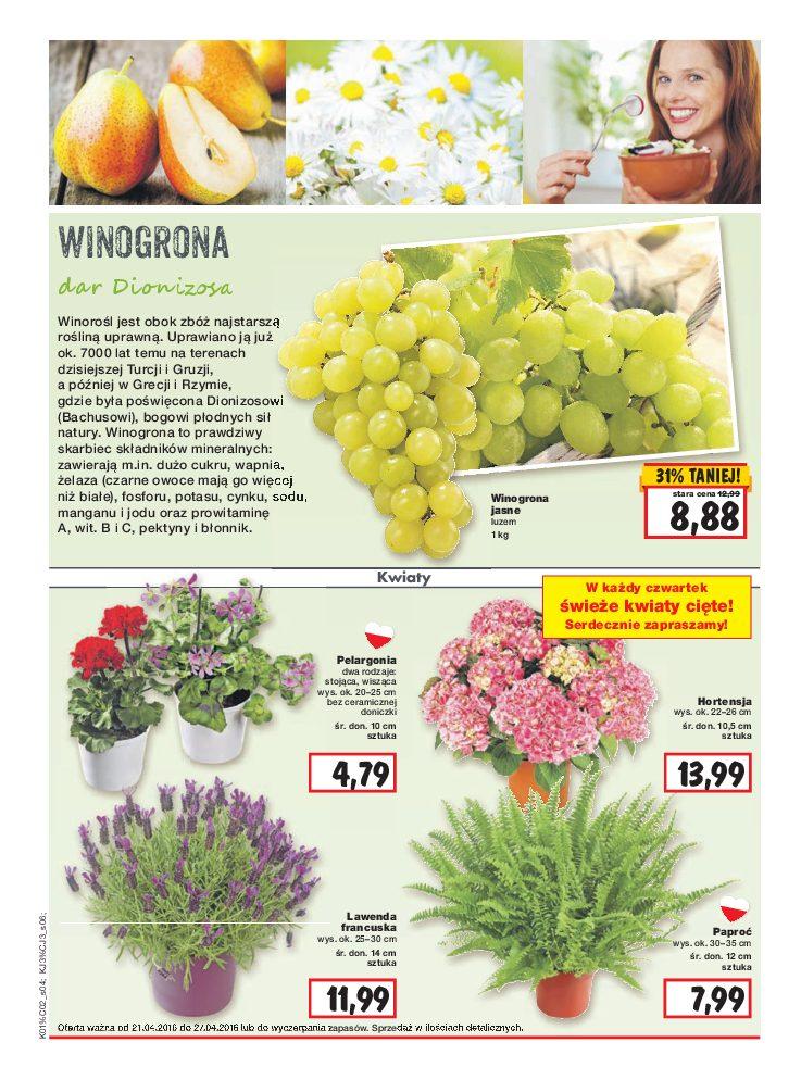 Gazetka promocyjna Kaufland do 27/04/2016 str.4