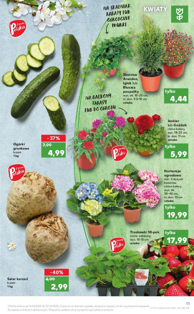 Gazetka promocyjna Kaufland do 22/04/2020 str.11