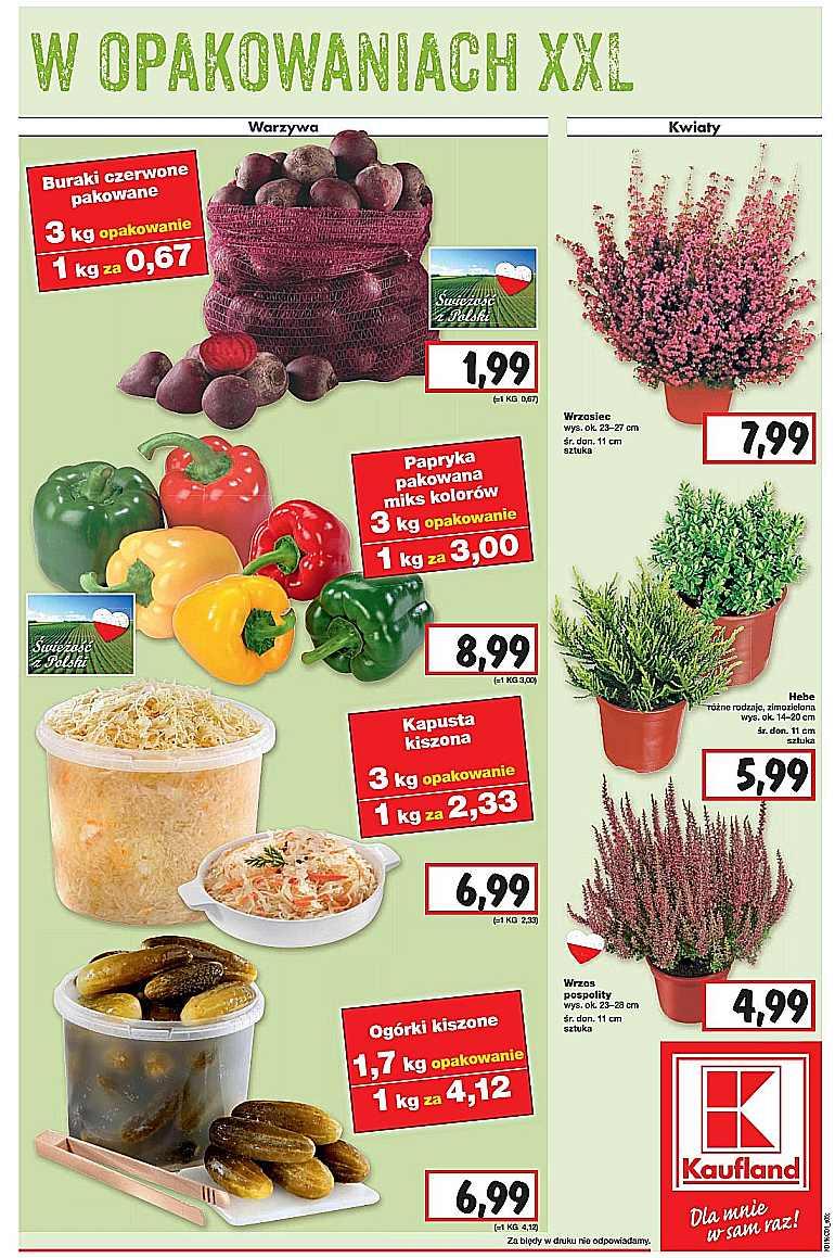 Gazetka promocyjna Kaufland do 14/09/2016 str.5