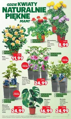 Gazetka Kaufland