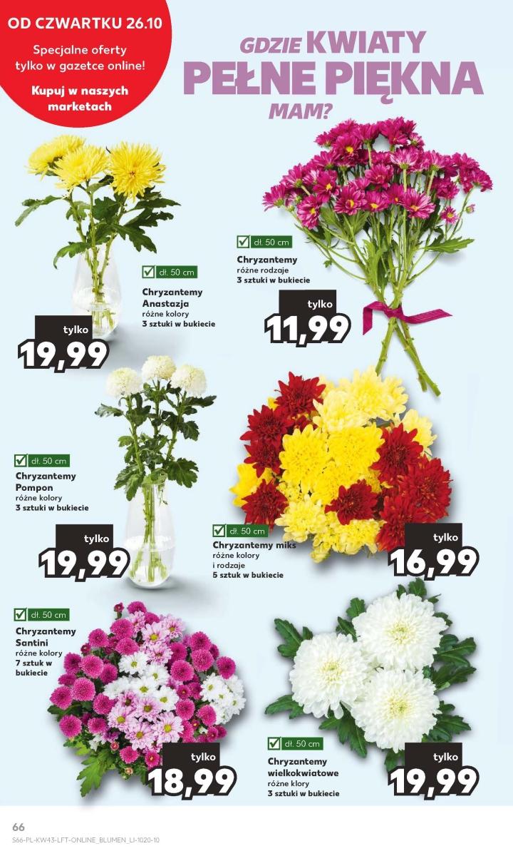 Gazetka promocyjna Kaufland do 31/10/2023 str.66