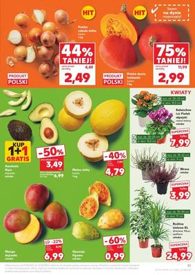 Gazetka Kaufland