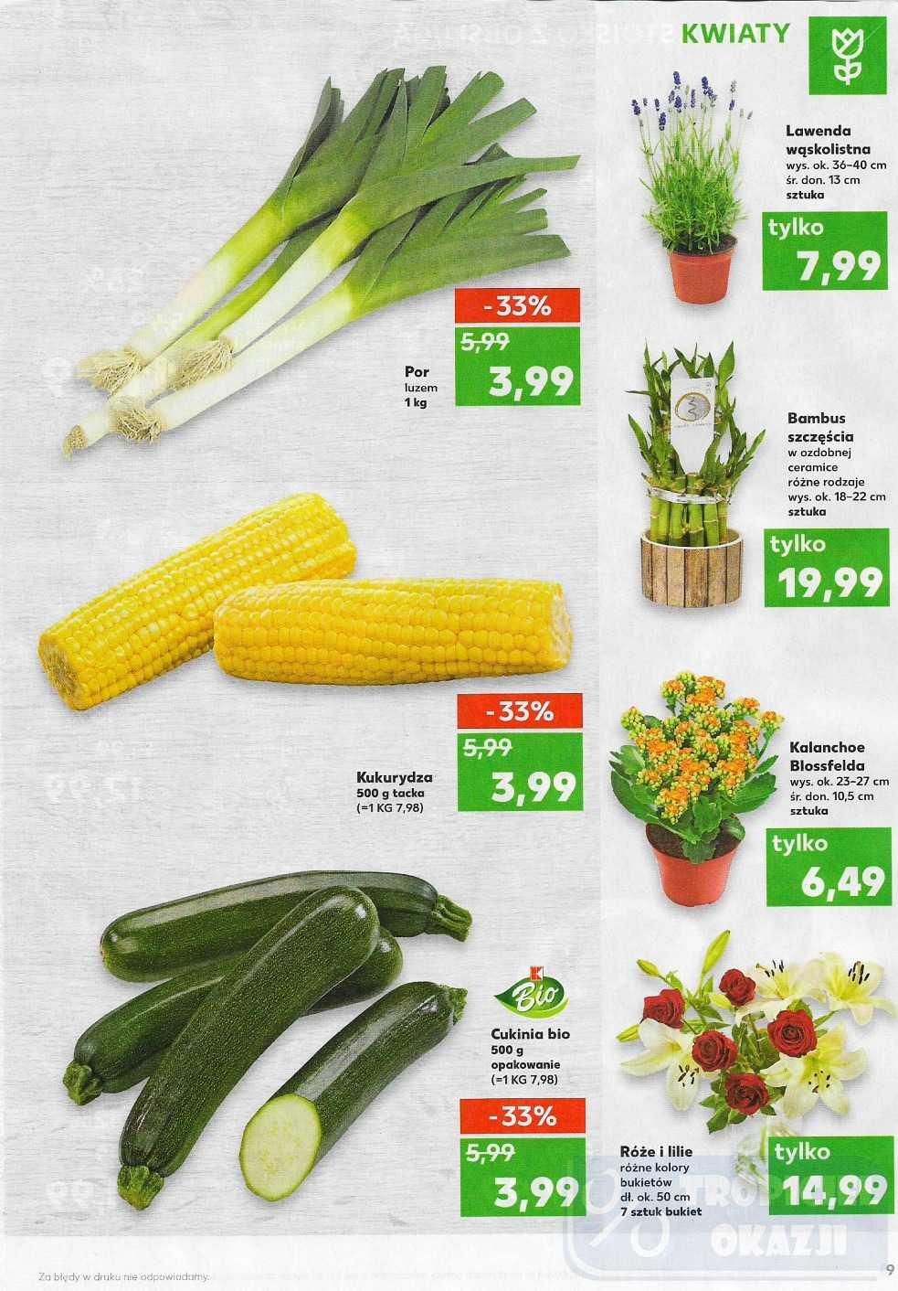 Gazetka promocyjna Kaufland do 26/07/2017 str.9