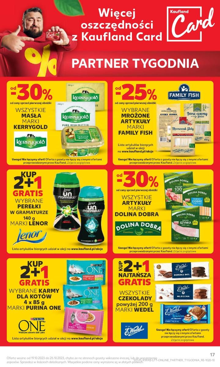 Gazetka promocyjna Kaufland do 25/10/2023 str.17