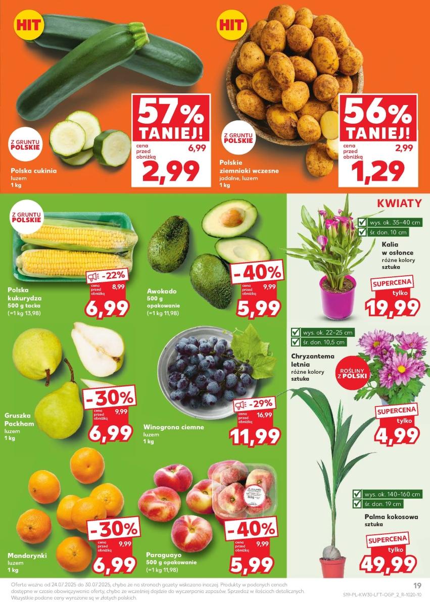 Gazetka promocyjna Kaufland do 30/07/2025 str.19