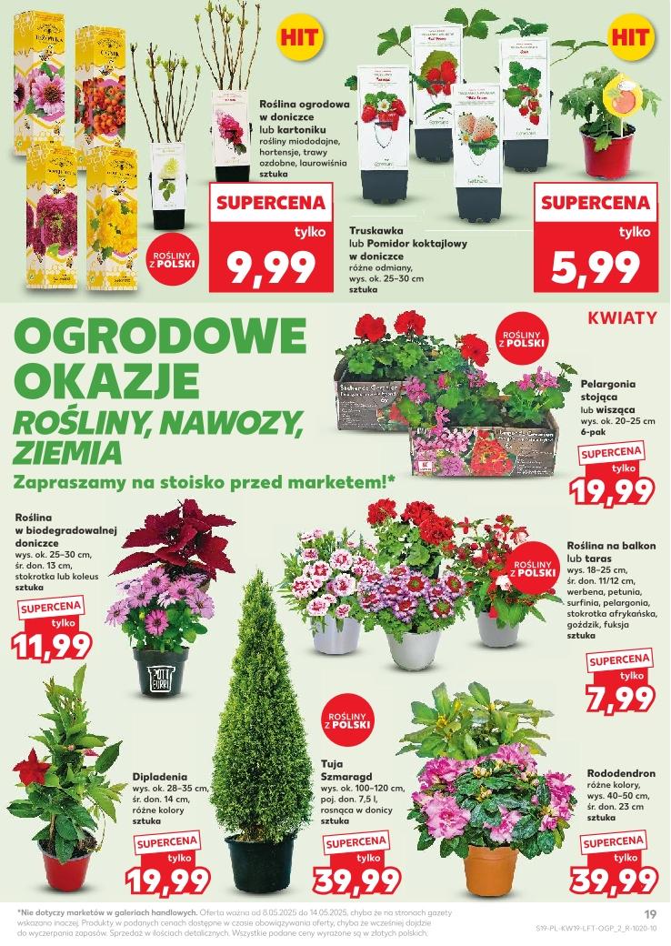 Gazetka promocyjna Kaufland do 14/05/2025 str.19
