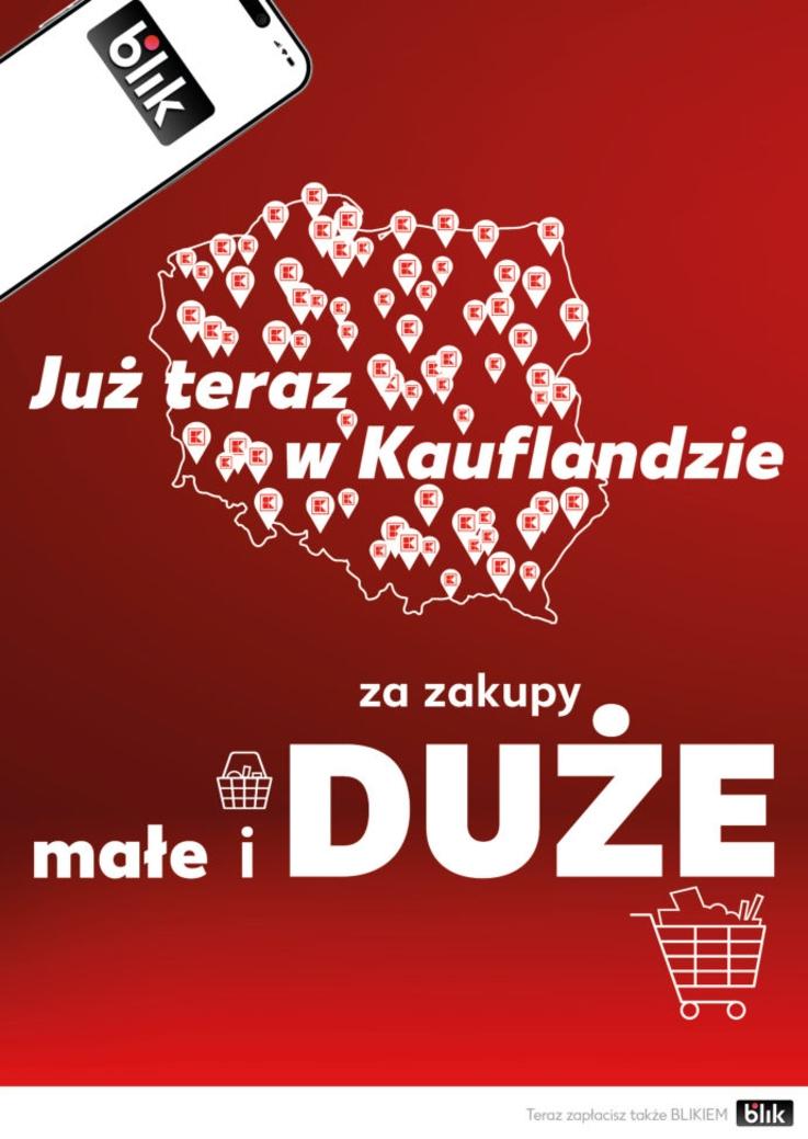 Gazetka promocyjna Kaufland do 31/12/2024 str.42