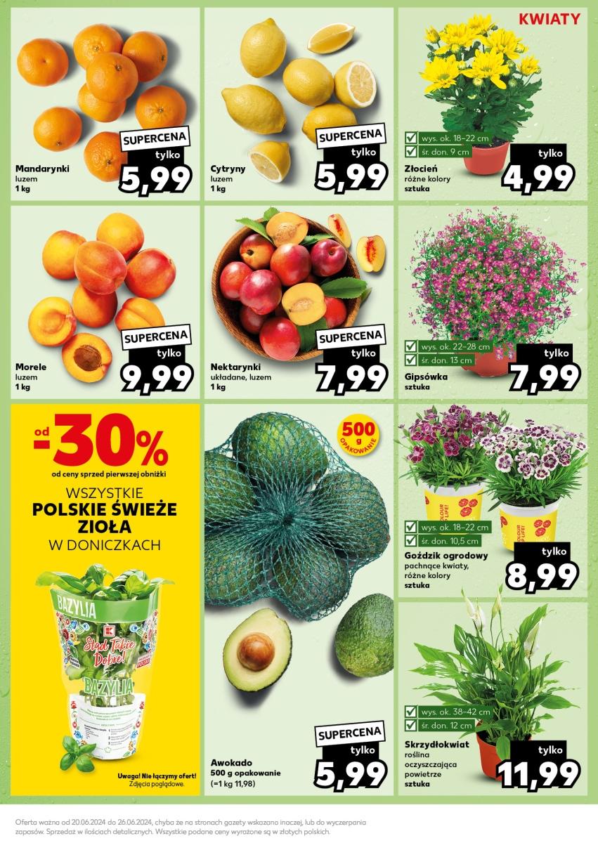 Gazetka promocyjna Kaufland do 26/06/2024 str.13