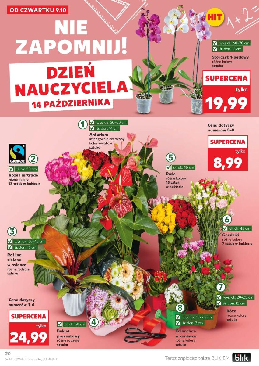 Gazetka promocyjna Kaufland do 15/10/2025 str.20