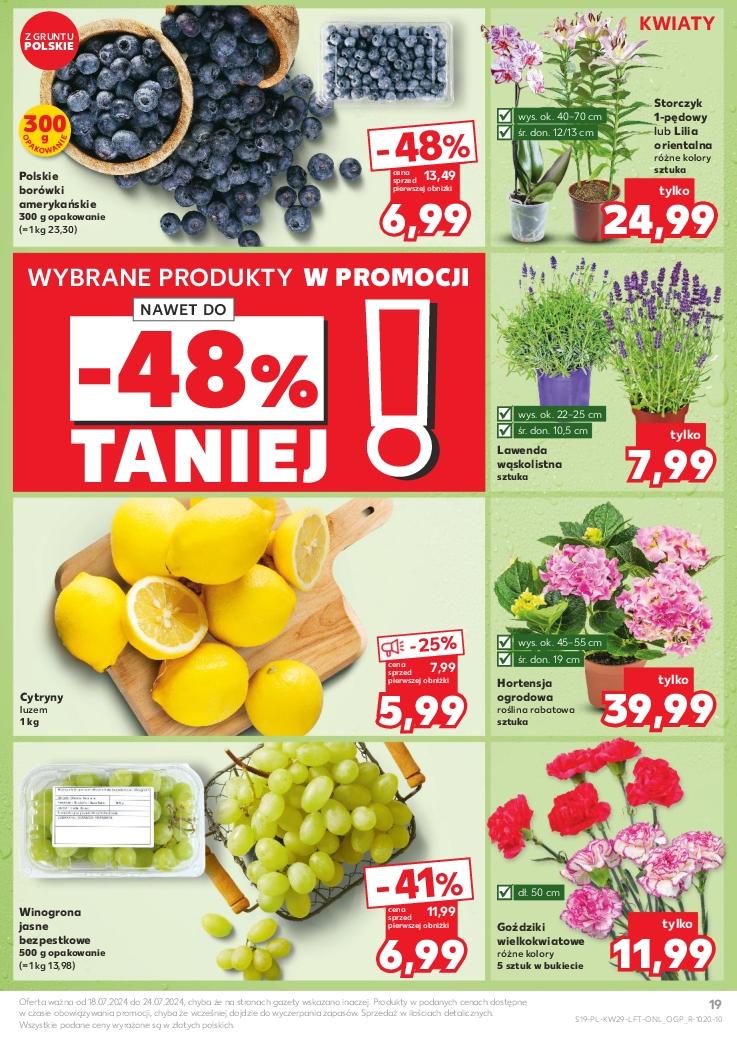 Gazetka promocyjna Kaufland do 24/07/2024 str.19