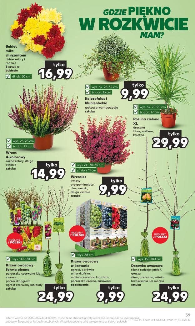 Gazetka promocyjna Kaufland do 04/10/2023 str.59