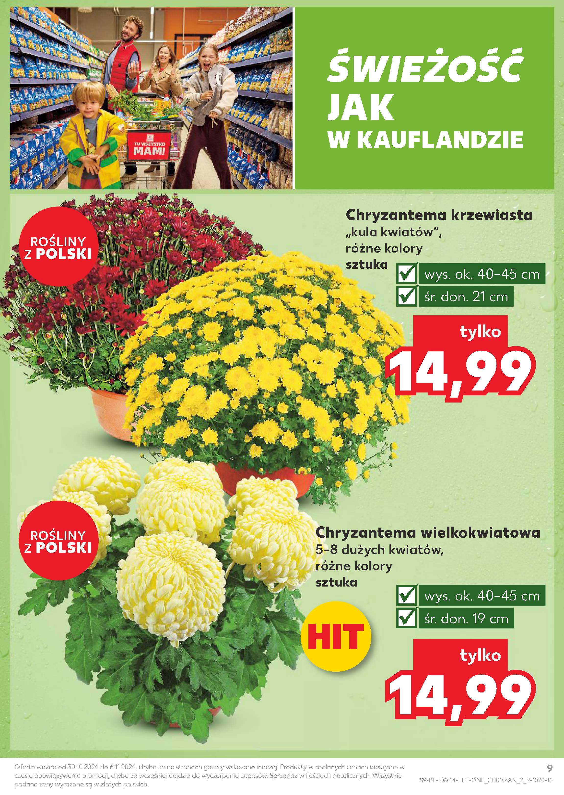 Gazetka promocyjna Kaufland do 06/11/2024 str.9