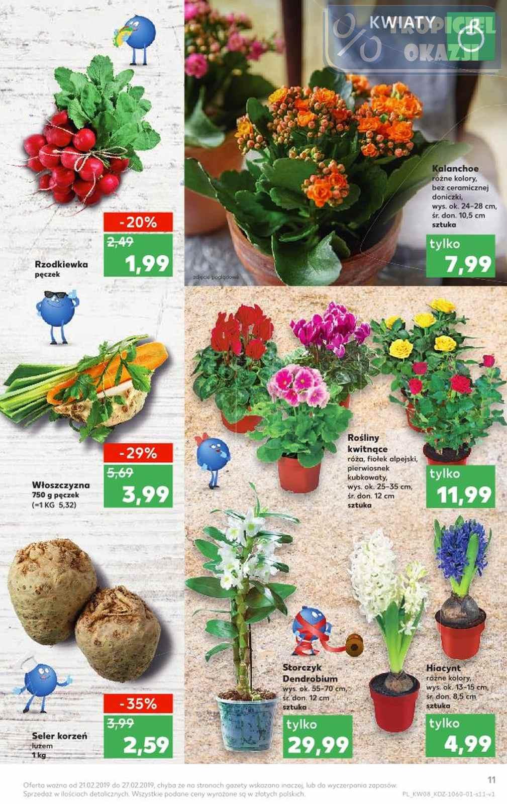 Gazetka promocyjna Kaufland do 27/02/2019 str.11