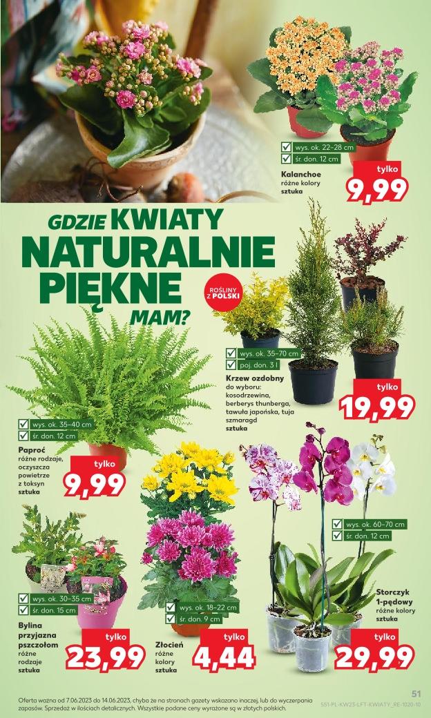 Gazetka promocyjna Kaufland do 14/06/2023 str.51
