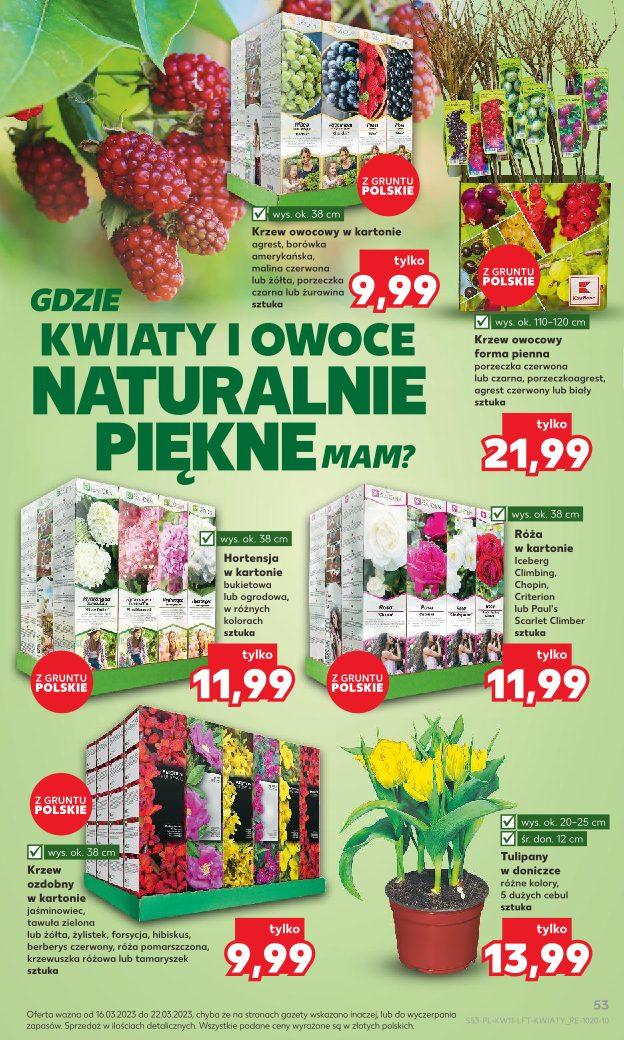 Gazetka promocyjna Kaufland do 22/03/2023 str.53