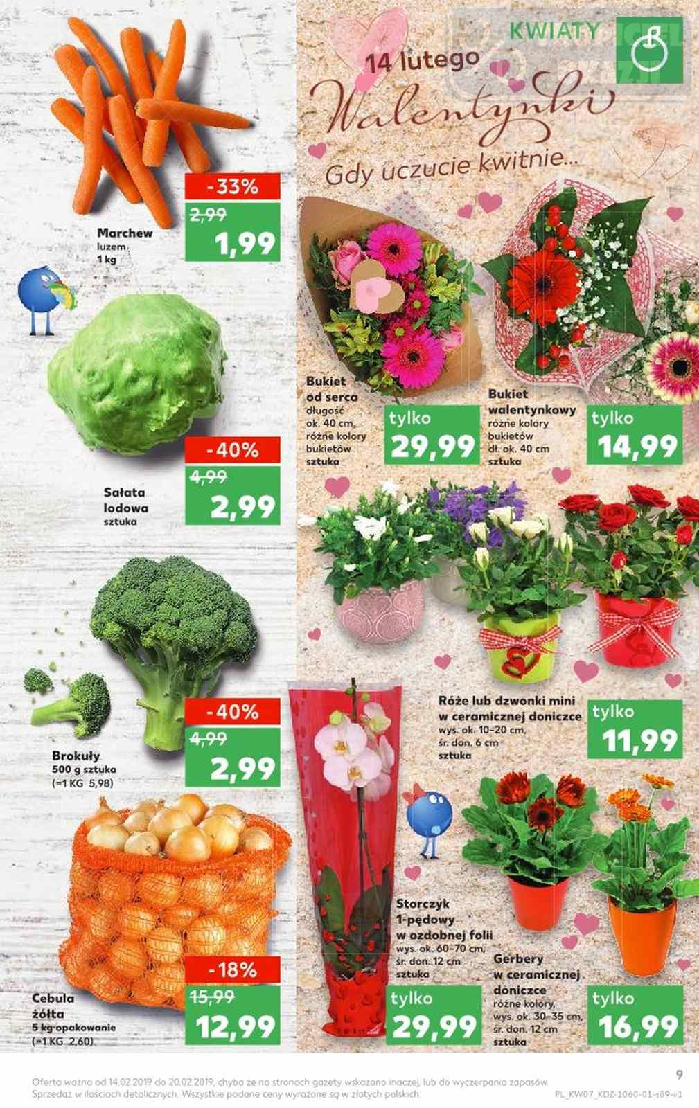 Gazetka promocyjna Kaufland do 20/02/2019 str.9