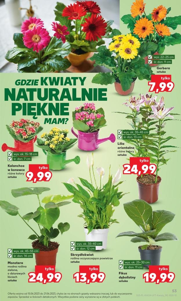 Gazetka promocyjna Kaufland do 21/06/2023 str.53