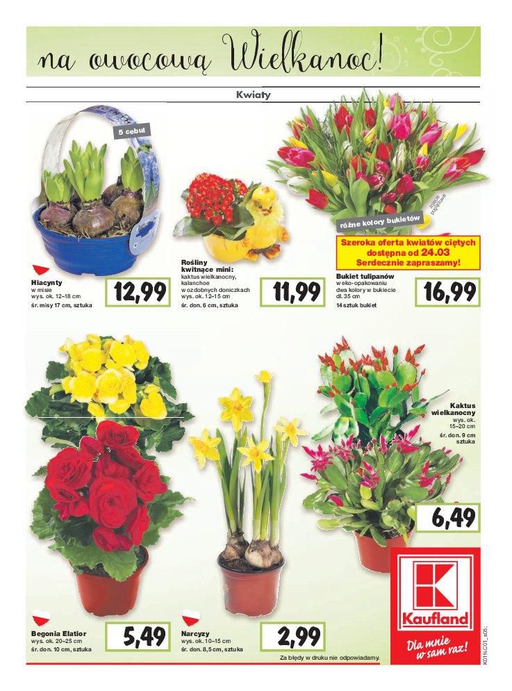 Gazetka promocyjna Kaufland do 30/03/2016 str.5