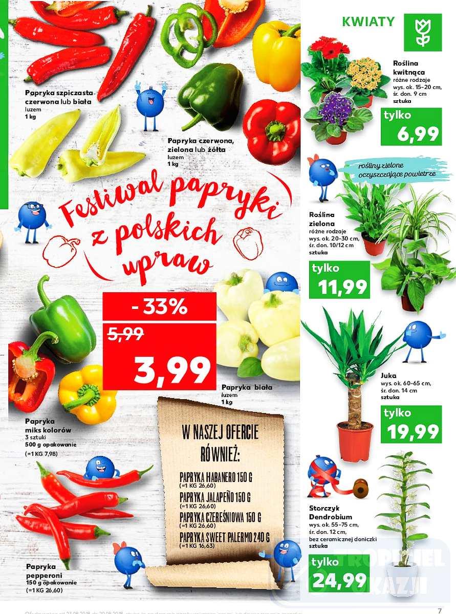 Gazetka promocyjna Kaufland do 29/08/2018 str.7