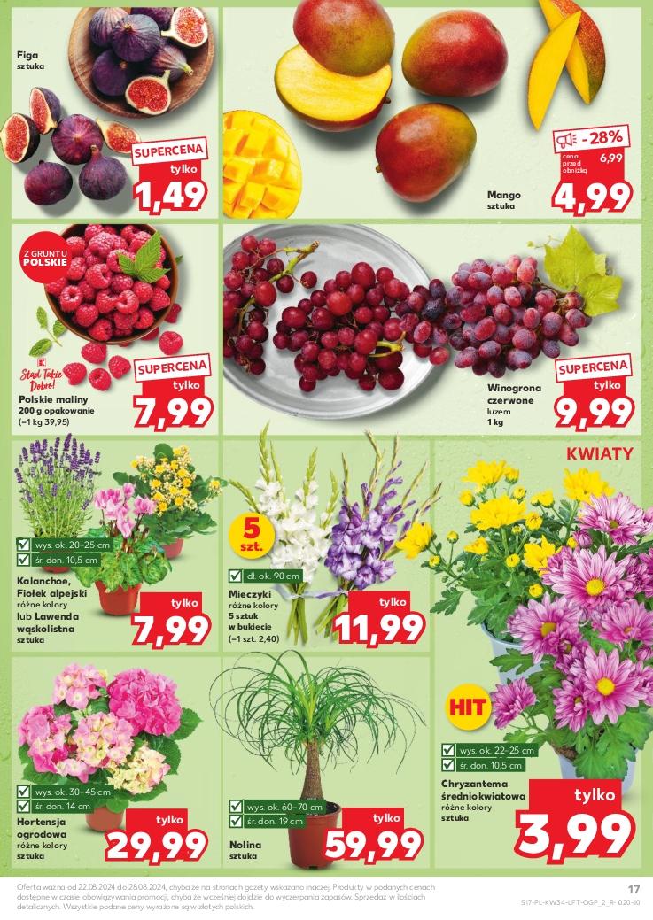 Gazetka promocyjna Kaufland do 28/08/2024 str.17