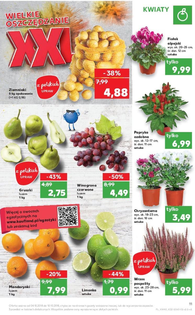 Gazetka promocyjna Kaufland do 10/10/2018 str.11