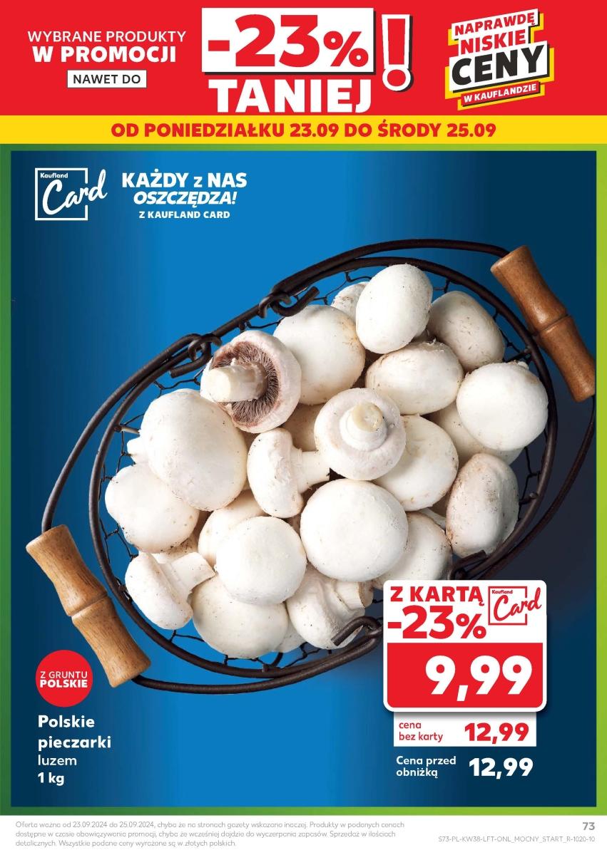 Gazetka promocyjna Kaufland do 25/09/2024 str.73